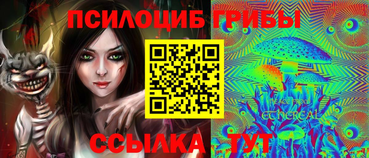 Галлюциногенные грибы Psilocybe Георгиевск