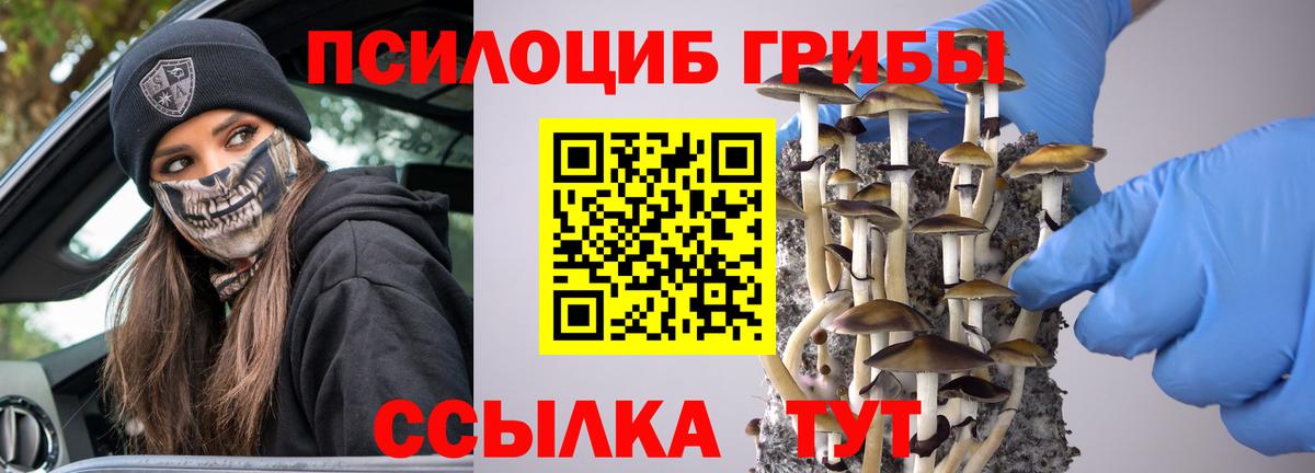 Георгиевск  Галлюциногенные грибы Magic Shrooms  купить закладку  Вход с VPN 
